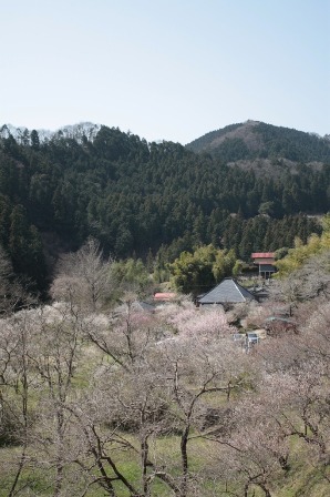 12.徳雲院周辺