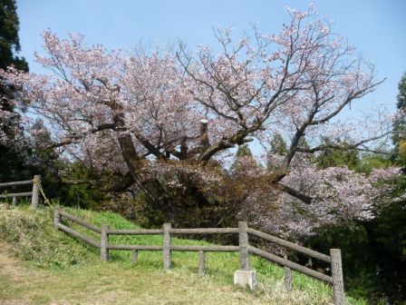 19.光厳寺