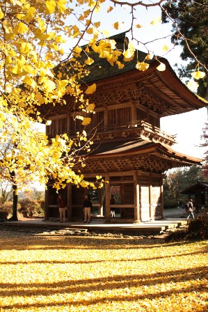 31.広徳寺