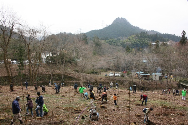 美しい森の風景を背に作業が進む