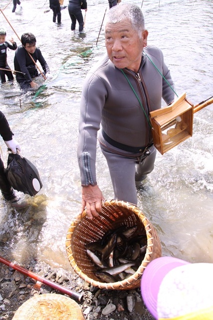 さくりで捕らえた鮎