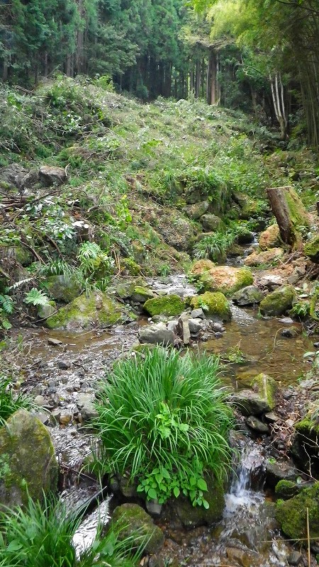 石原沢