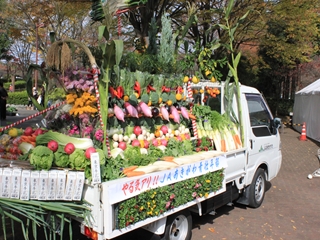 野菜の宝船