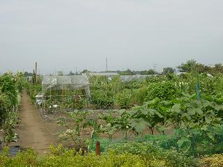 市民農園