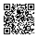 web版