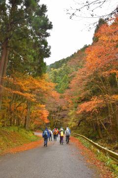 都道201号線