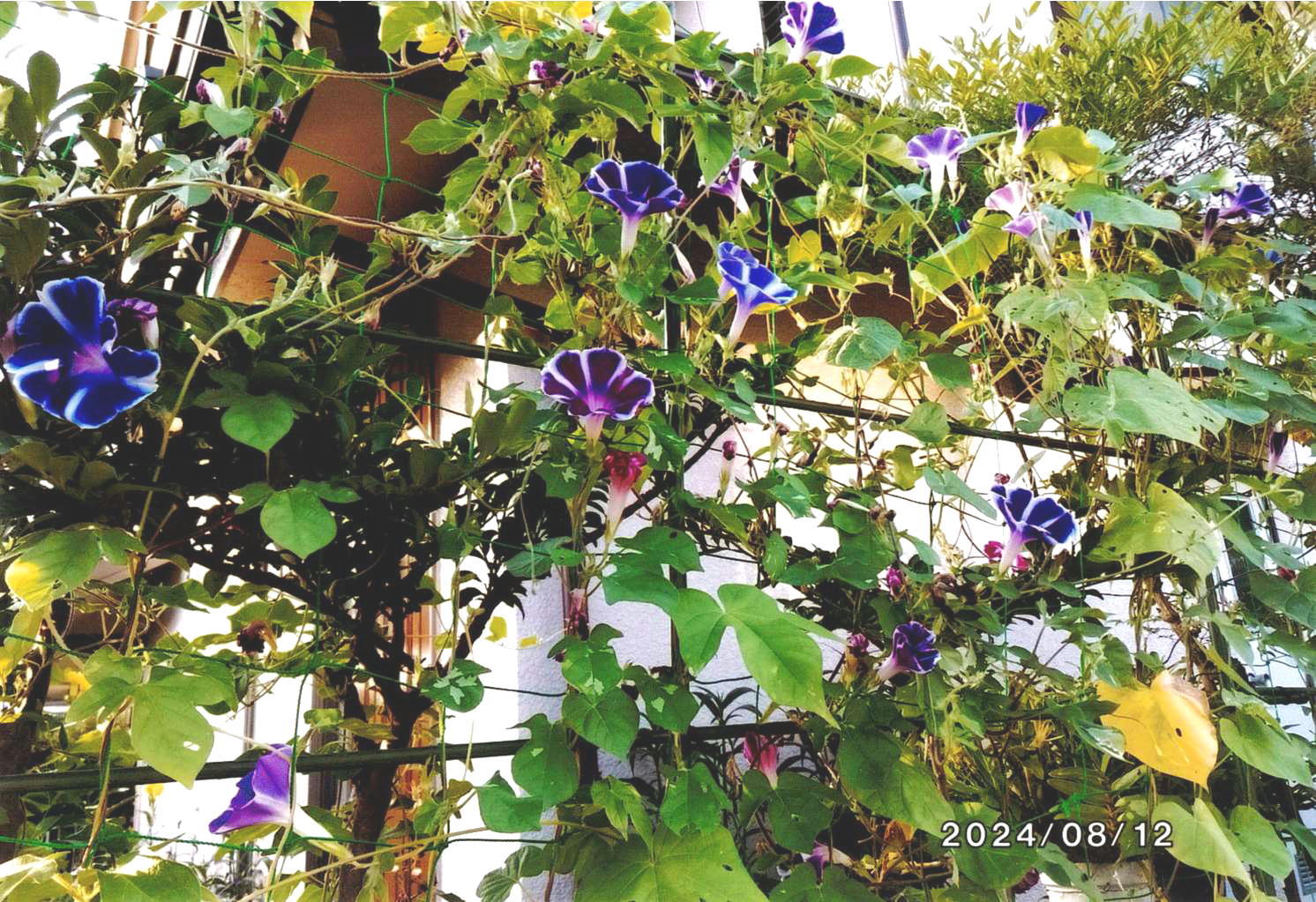 谷川佐江さんの写真10