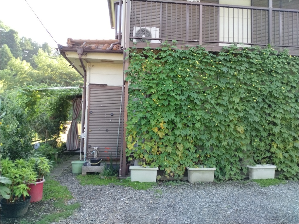 ふなまささんの写真