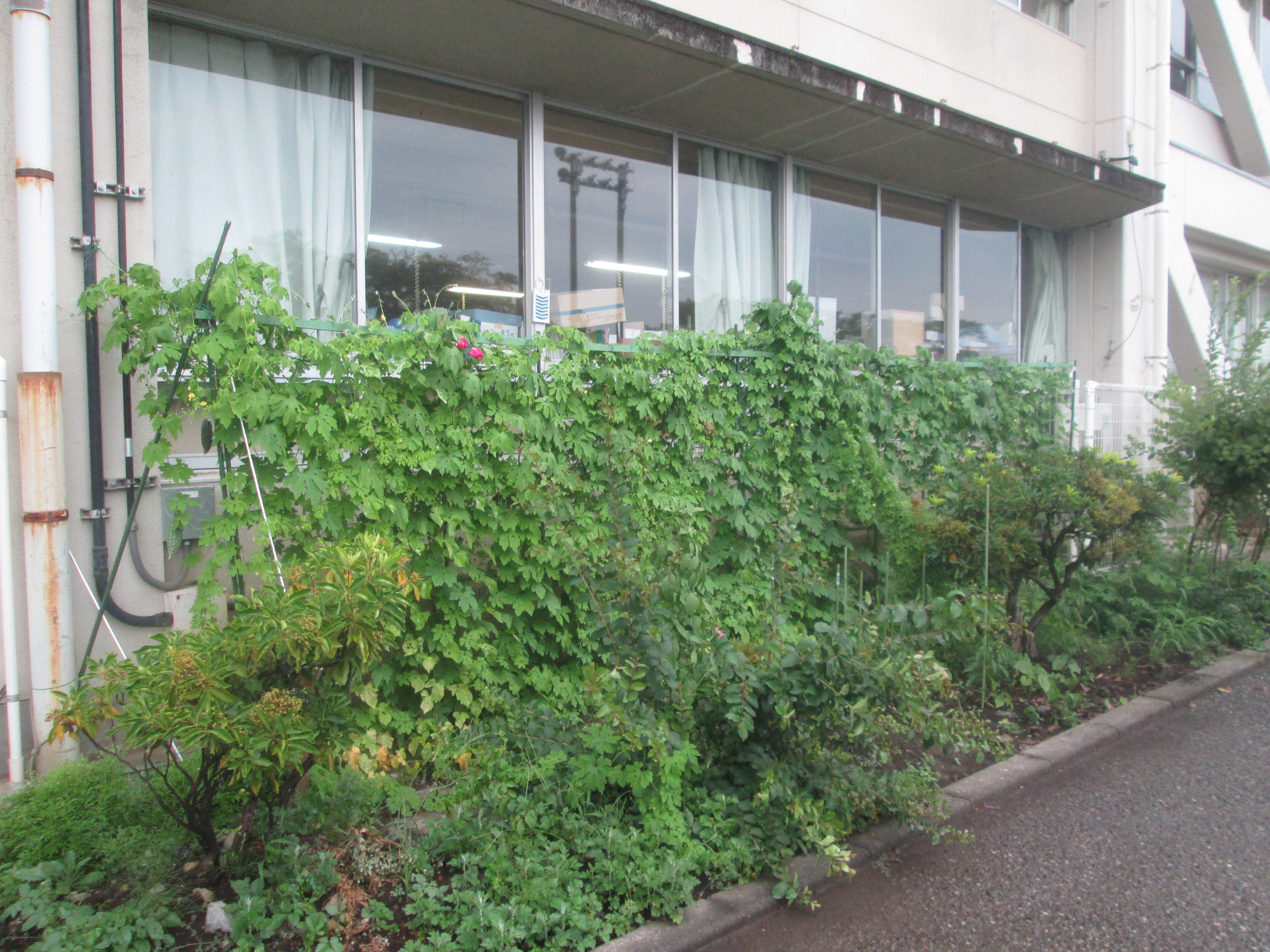 五日市中学校の写真
