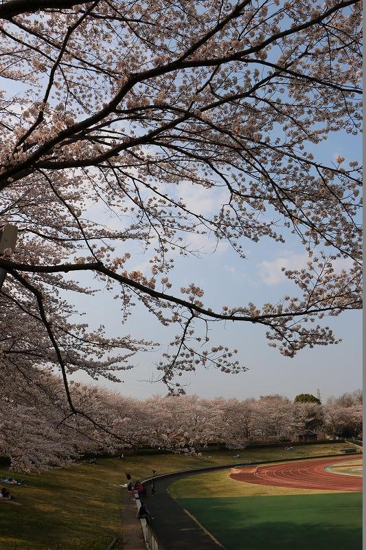 都立秋留台公園