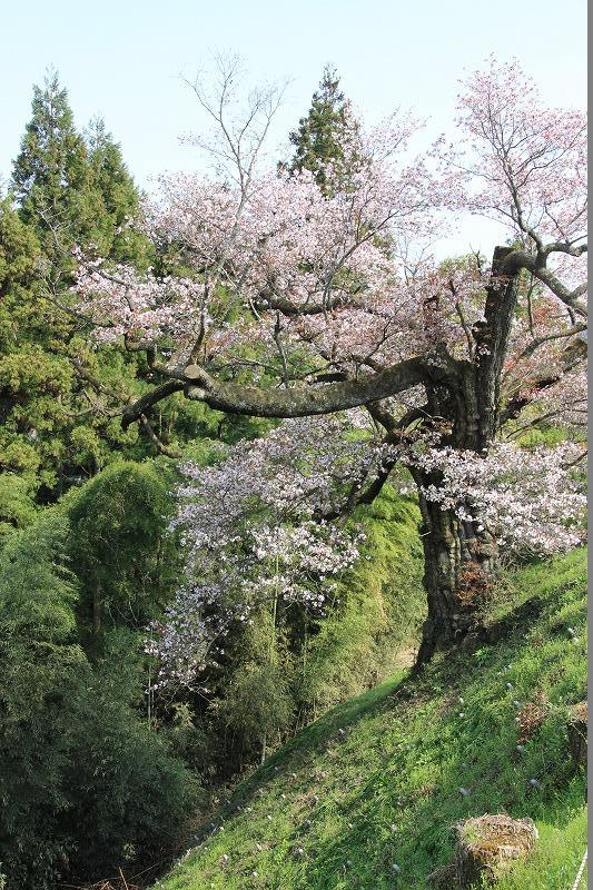 光厳寺