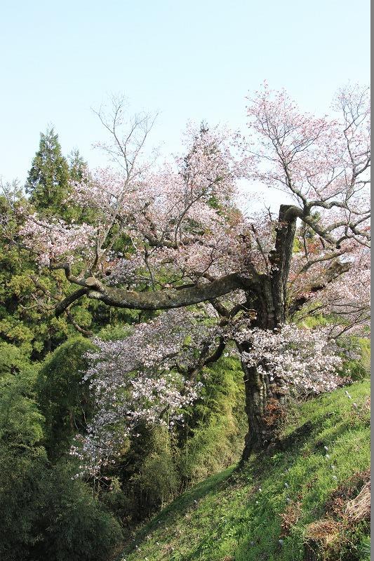 光厳寺