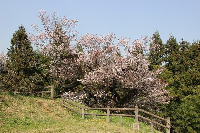 光厳寺