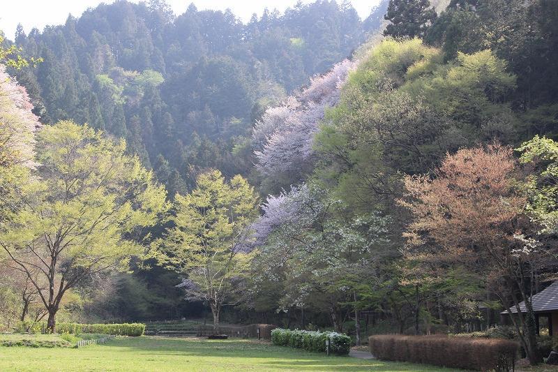 都立小峰公園