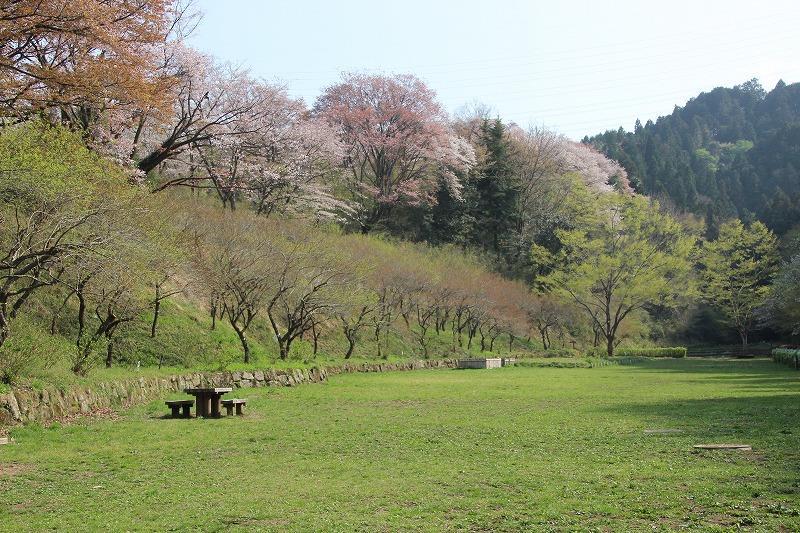 都立小峰公園