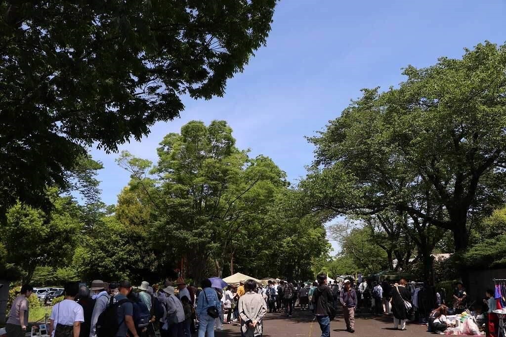 会場の様子