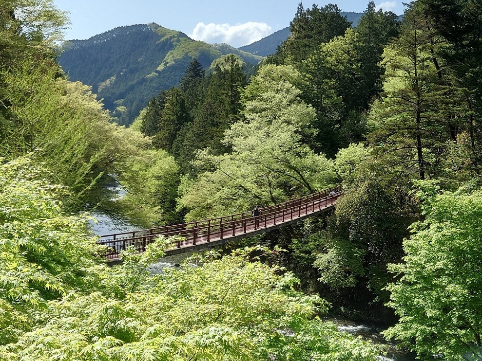 春の石舟橋