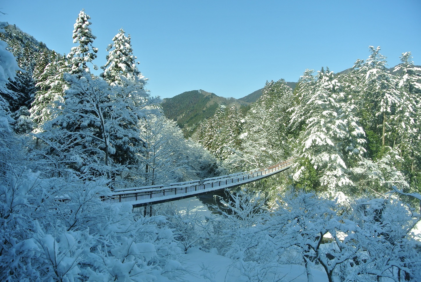 雪景色の石舟橋
