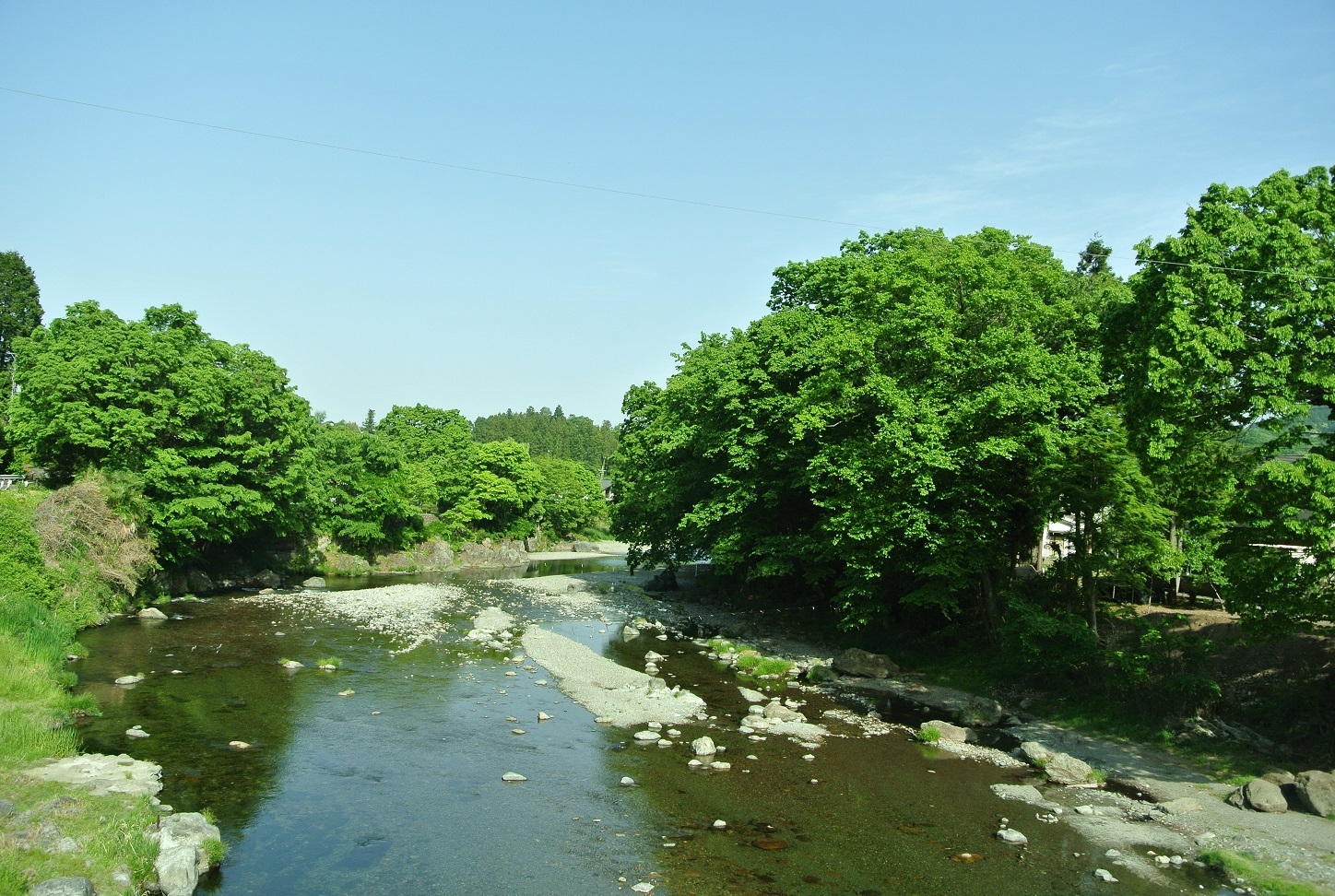 佳月橋の新緑