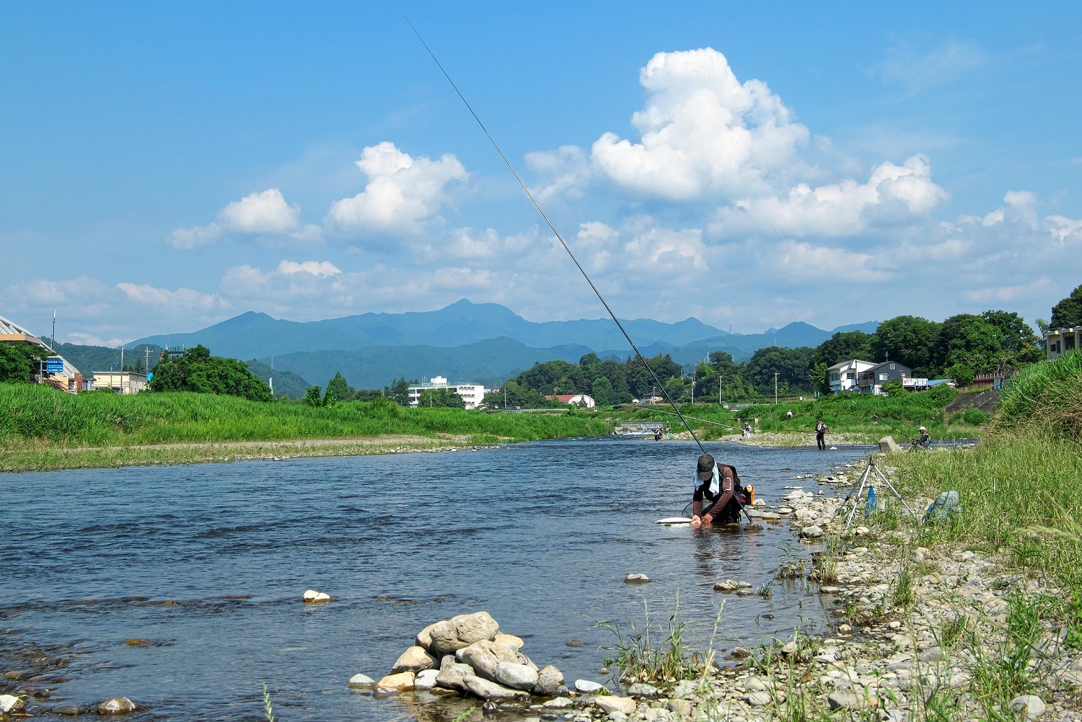 秋川の鮎釣り