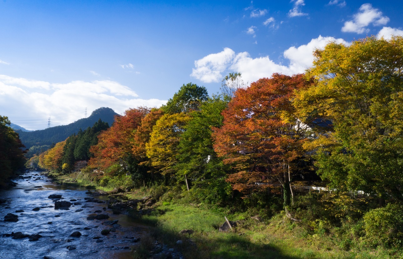 佳月橋の紅葉