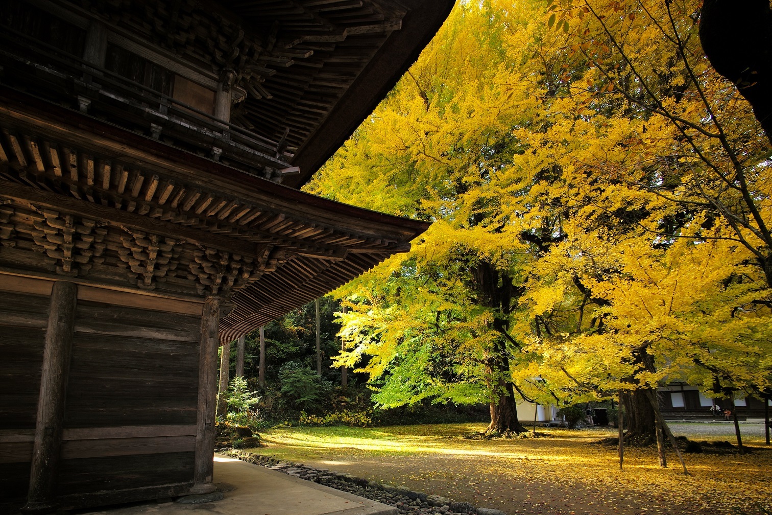 広徳寺の写真