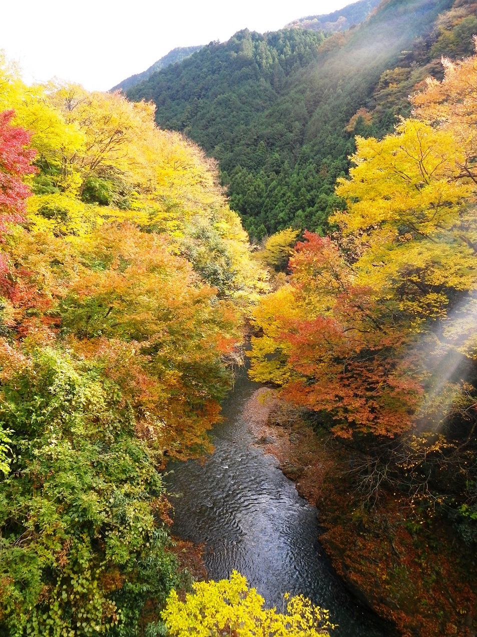 青木平橋の写真