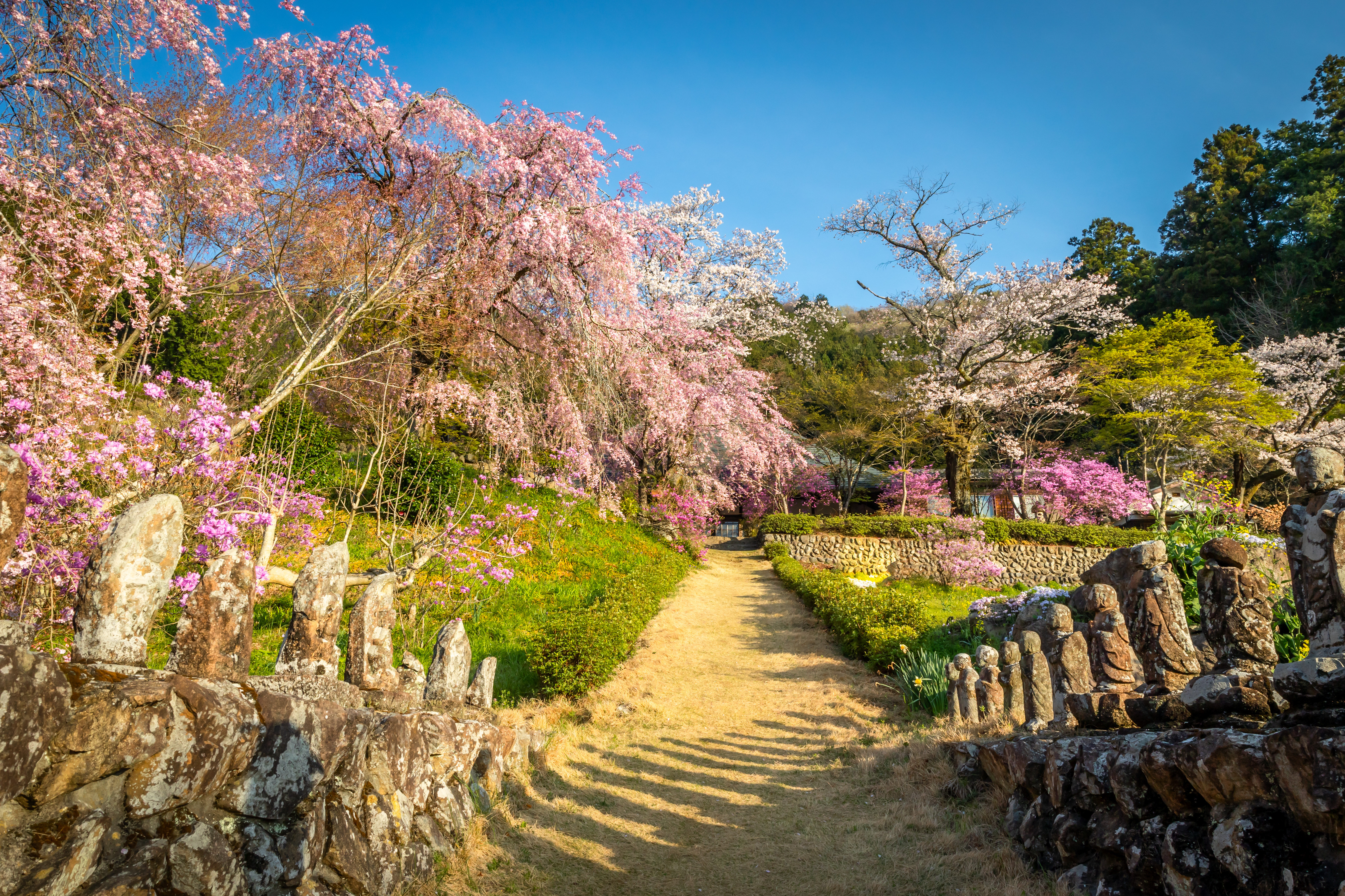 春_龍珠院