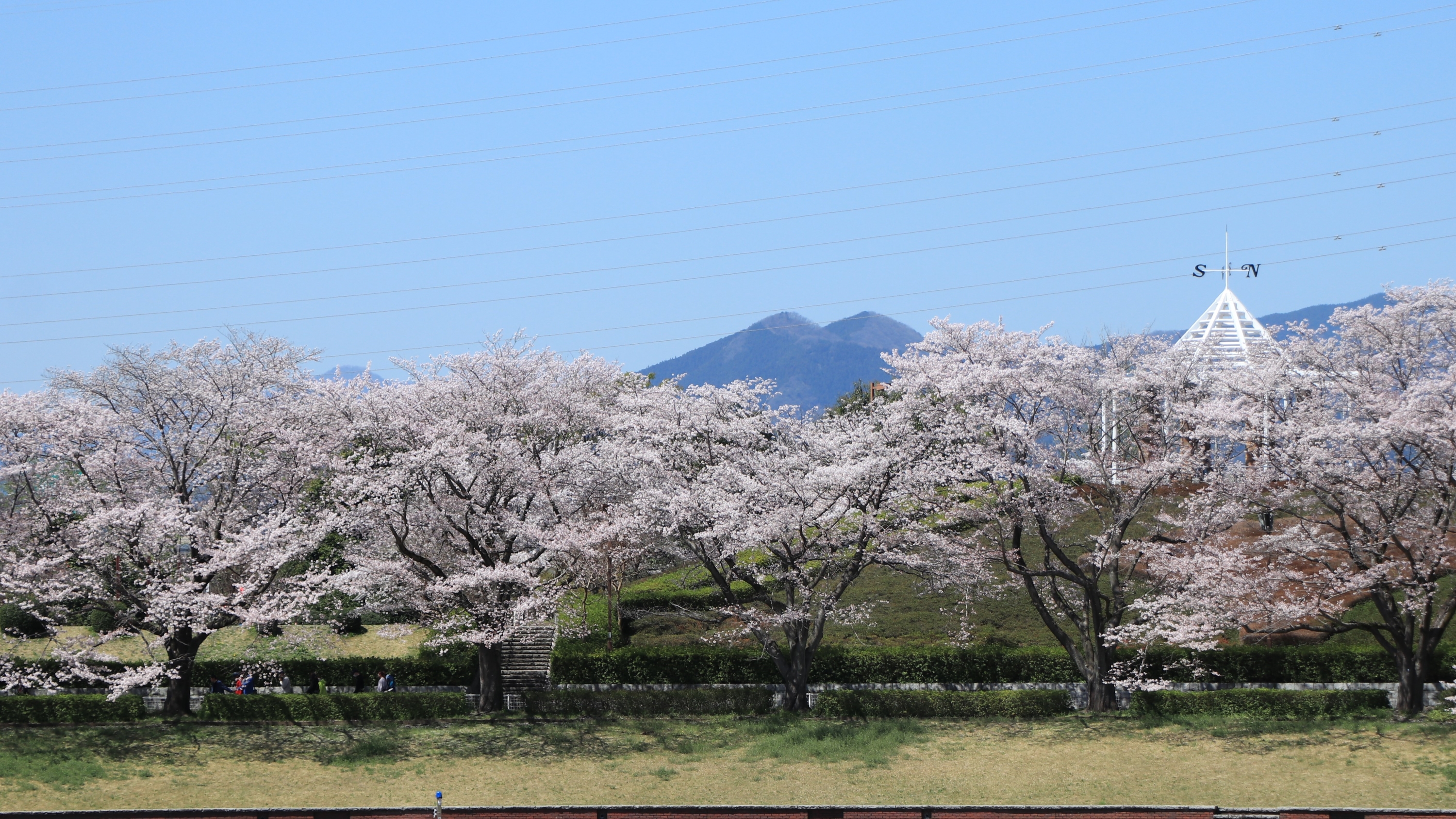 春_秋留台公園